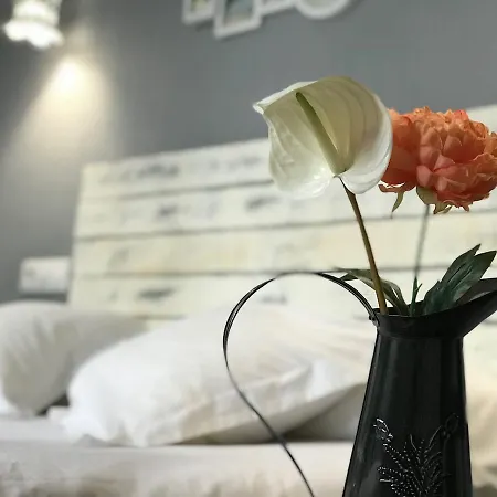Oasis Backpackers' Hostal Toledo